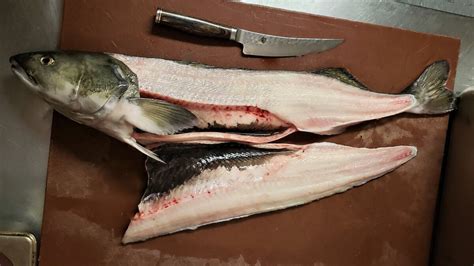 How To Fillet Black Cod