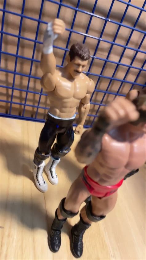 Cody Rhodes Or Randy Orton Or Ted Dibiase Wwe Wrestling Wwefigures