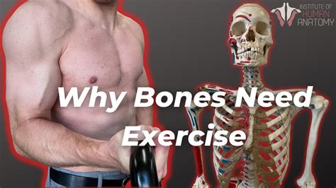 How Your Bones Change With Exercise YouTube