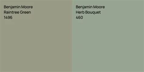 Benjamin Moore Raintree Green Vs Benjamin Moore Louisburg Green Color