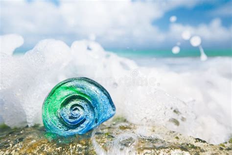 Glass Tropical Sea Shell With Waves Under Sun Light Stock Photo Image