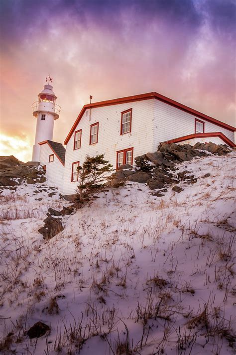 Lobster Cove Head Lighthouse #2 Photograph by Mike Organ - Pixels