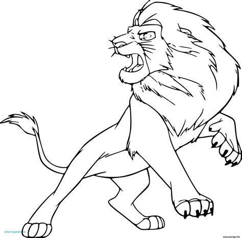 Coloriage Animaux Lion De Gulli JeColorie