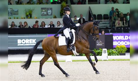 The Dutch Masters Dinja Van Liere Ik Hoop Drie Paarden Te Hebben