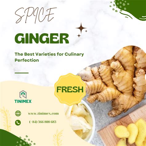 Spicing It Up The Best Ginger Varieties For Culinary Perfection