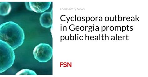 Cyclospora outbreak in Georgia prompts public health alert | Food ...