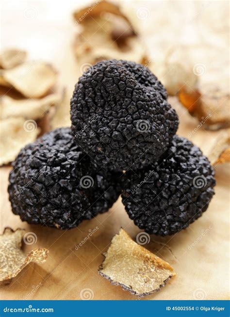 Expensive Rare Black Truffle Mushroom Stock Photo Image Of Black