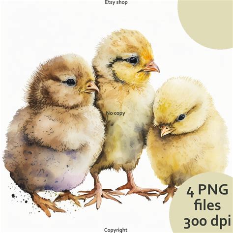 Cute Baby Chicks Watercolor Cute Farm Animal Sublimation Etsy