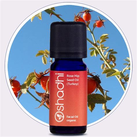 Patagonia Rose Hip Organic Facial Oil Oshadhi Essential Oils