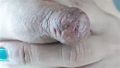 Horny Milky Udders Pump Milk From Their Giant Nipples XHamster