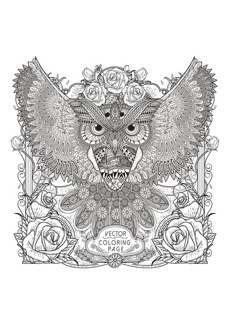 Hibou Avec Motifs Complexes Coloriages D Hiboux Imprimer Pour Adultes