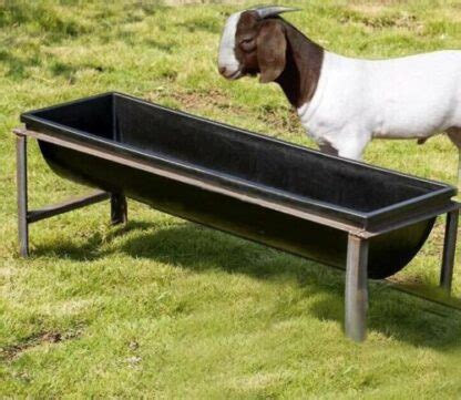 long Water trough for Goat+ – Madee's Pet Supplies