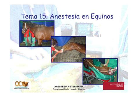 Anestesia En Equinos Vetery Books UDocz