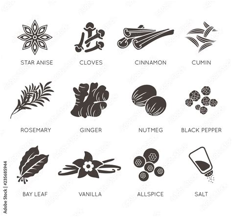 Spices Icon Vector Set Collection Stock Vector Adobe Stock