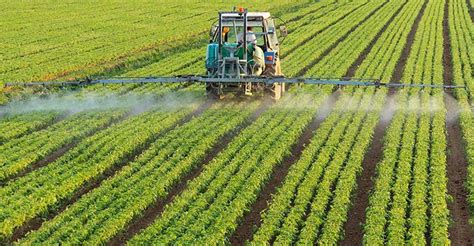 Agricultural Chemicals And Fertilizers