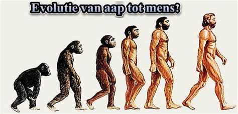 Atheïsme en Evolutie Compare Islam