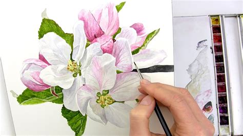 Realistic Watercolor Flowers at PaintingValley.com | Explore collection ...