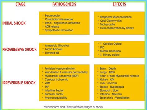 Shock | PPT