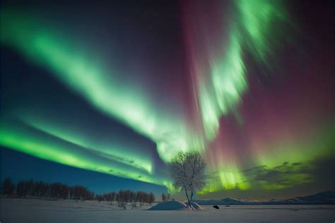 Aurora borealis is a spectacular sight in the arctic