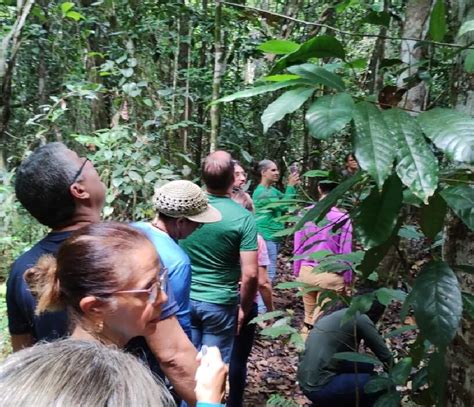 Paulista realiza atividades de formação em preservação do meio ambiente