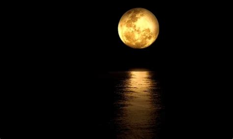 Buck Moon: First supermoon of 2023 illuminates the skies and holds ...