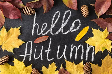 20 October Chalkboard Ideas Creative Inspiration For Fall Decor And Events