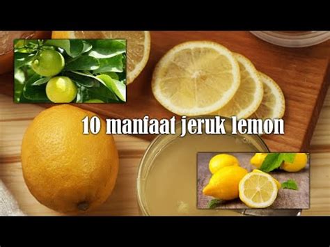 Manfaat Jeruk Lemon Untuk Kesehatan Youtube