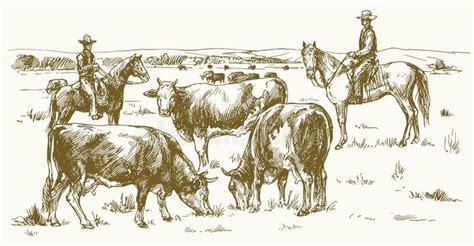 Cattle drive by two cowboys. Cows grazing on pasture. Vector illustration #Sponsored , #AD, # ...