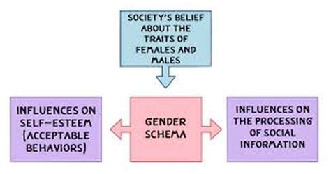 Gender Roles Exploration Of Ones Development In Life