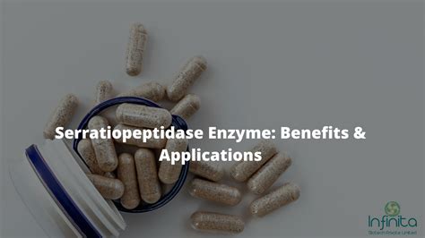 Serratiopeptidase Enzyme Benefits Applications Infinita Biotech