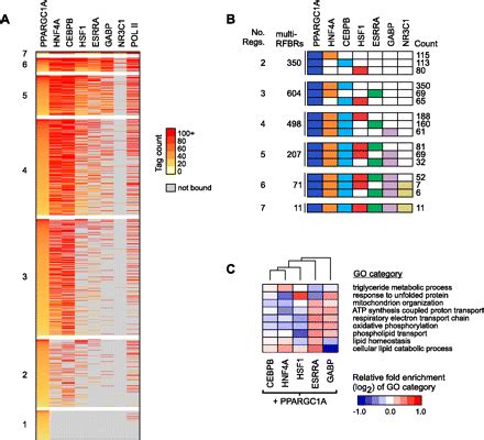 A Highly Integrated And Complex Ppargc A Transcription Factor Binding