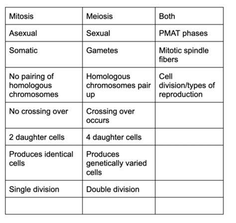 Bio Ch 8 Meiosis Flashcards Quizlet