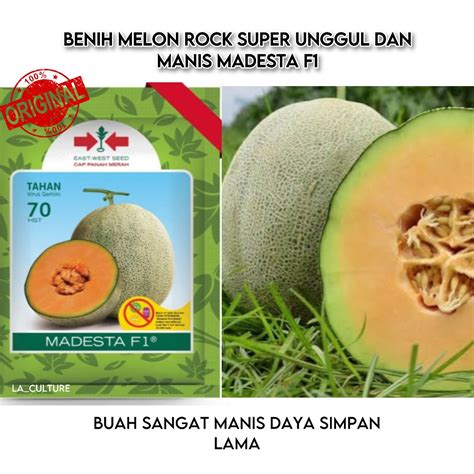 Jual Benih Melon Orange MADESTA F1 Isi 10 Butir Repack Cap Panah Merah