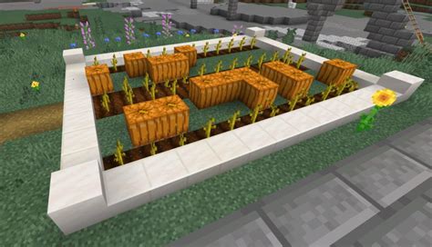 Basics Of Pumpkin And Melon Farms Shadencraft