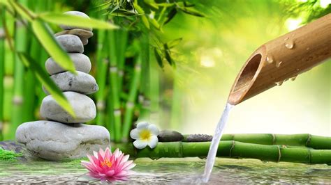 Bamboo Fountain Healing Music Relaxing Music Meditation Music Music