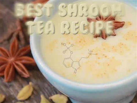 Make Shroom Tea | Mushroom Tea Guide | Best Shroom Tea Recipe