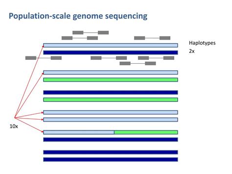 Ppt Lessons Learnt From The Genomes Project About Sequencing In