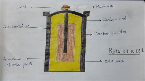 How To Draw Parts Of Cell Batterybattery Parts Drawing Science Diagram