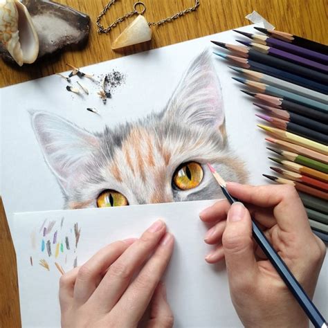 El Proceso De Dibujar Un Retrato De Un Gato Dibujo Realista De Un Gato