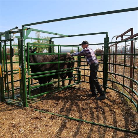 Calving Pens & Equipment | Calving Products | Arrowquip