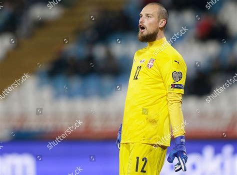 Serbias Goalkeeper Predrag Rajkovic Reacts During Editorial Stock Photo