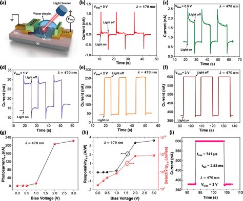 PolarizationSensitive And SelfDriven PyroPhototronic Photodetectors