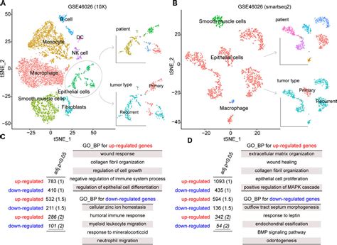 Frontiers Identification Of A Recurrence Gene Signature For Ovarian