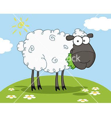 Black Sheep Cartoon Character Vector By Hittoon On