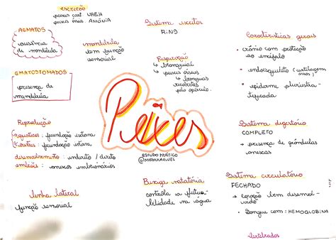 Mapa Mental Sobre Peixes - MAPA MENTAL SOBRE PEIXES - Maps4Study
