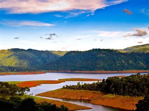 Meghalaya Bird Watching Tour Packages Book Meghalaya Bird Watching