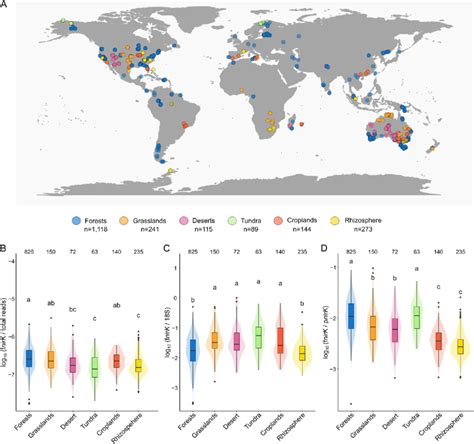 Origins Of Metagenomes And Abundance Of Fungal NirK In Terrestrial