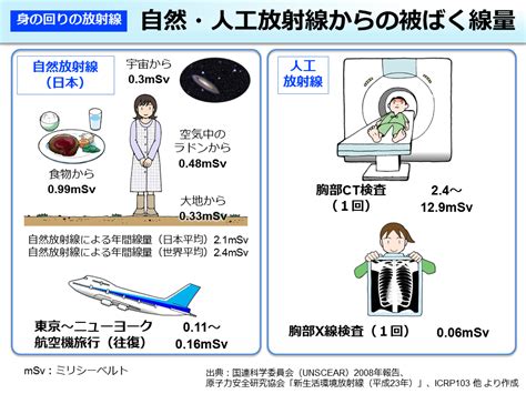 骨髄移植前の放射線治療【自然・医療被ばくの放射線量】 ﾄﾏﾄｻｰﾁ2