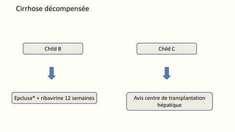 Recommandations Pour L Limination De Linfection Par Le Vhc En France