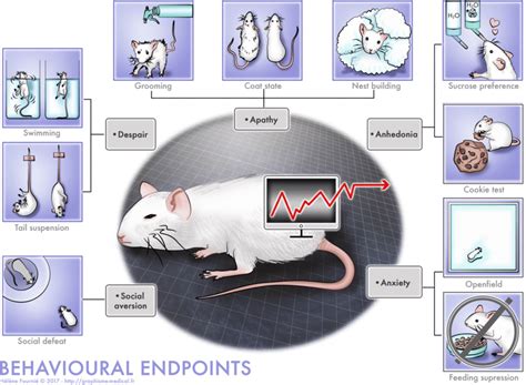 Behavioural Endpoints Measuring Aspect Of The Anxio Depressive